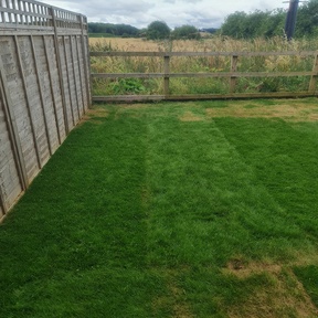 Post Construction Cleaning Forest Gate E7